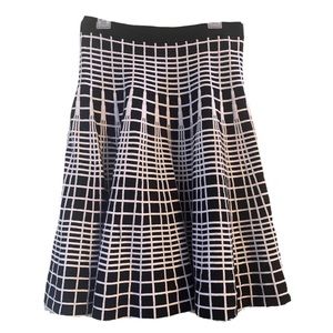 Ana Couture Pleated Flared High Waisted Skirt